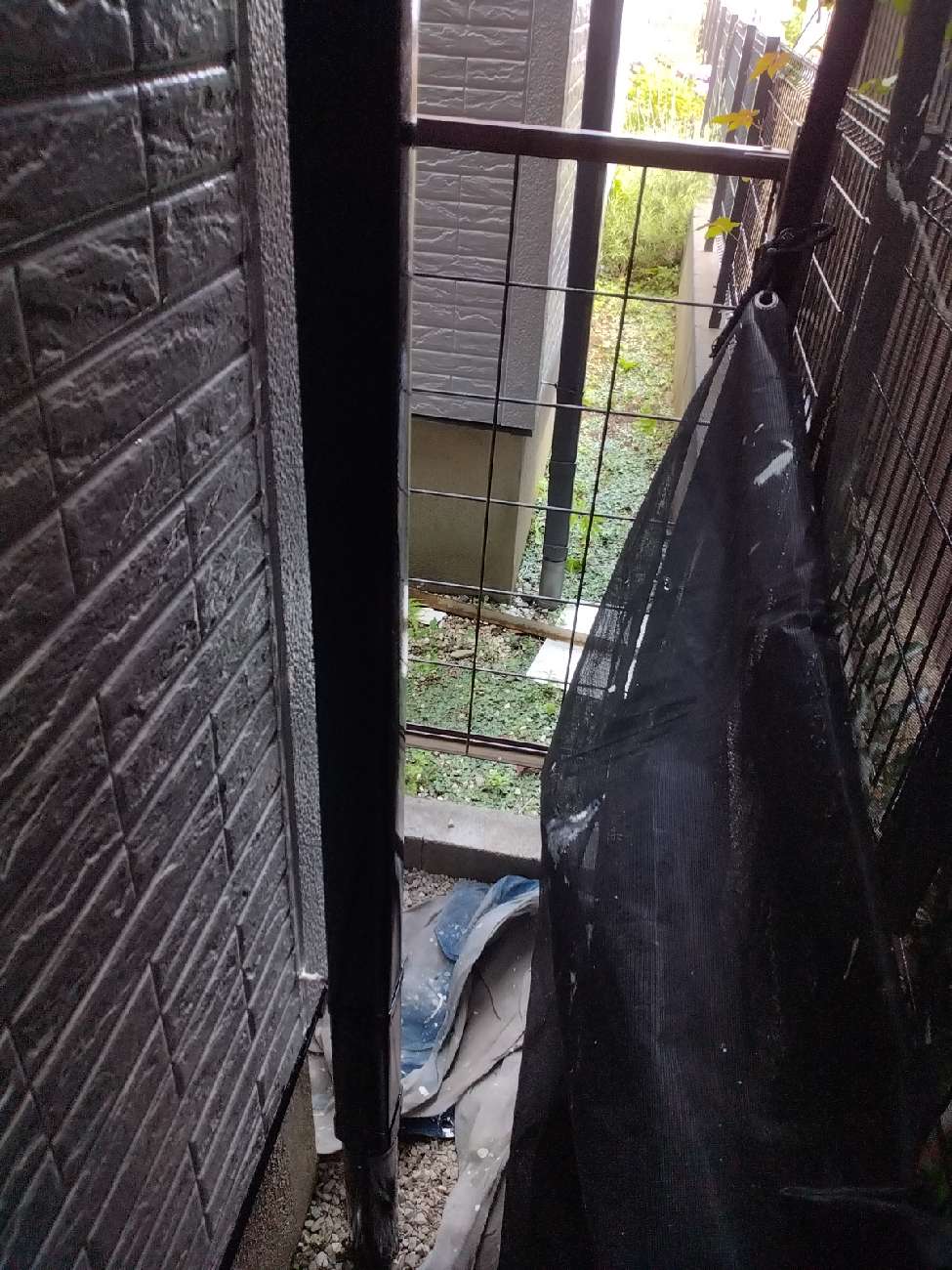 雨樋の塗装完工