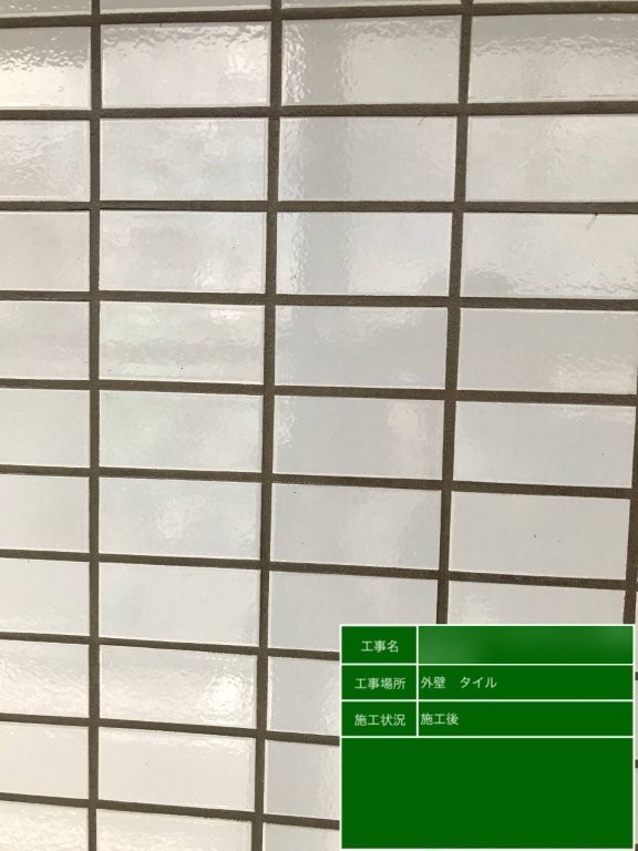 Fマンション 外壁タイルのクリア塗装施工後 光沢のあるタイル表面と目地の接写